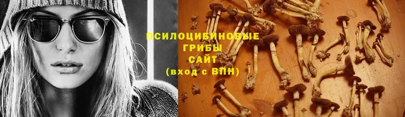 даркнет сайт  Сургут  Псилоцибиновые грибы Cubensis 